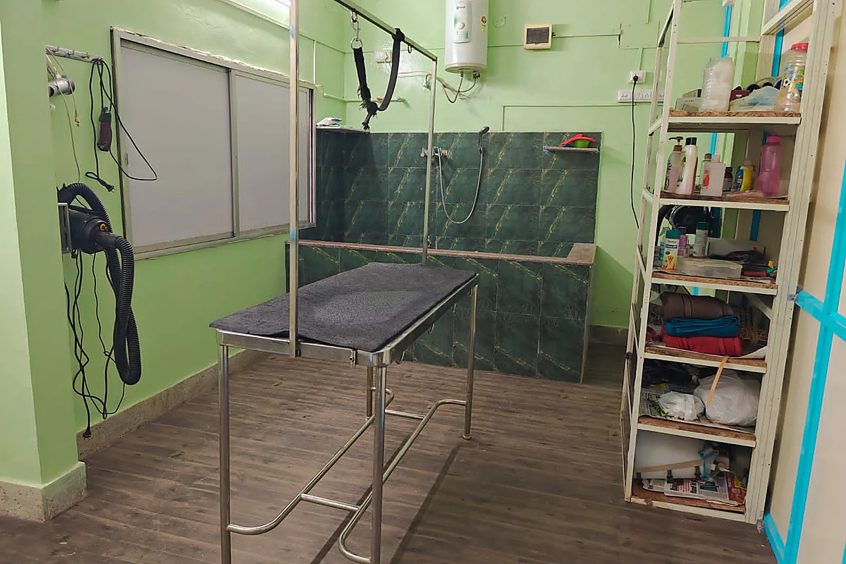 HiTech Pets grooming area